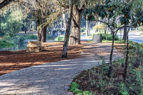 Caminho Pedestre Coberto Parque Público Entre Árvores Vegetação Selvagem Com — Fotografia de Stock