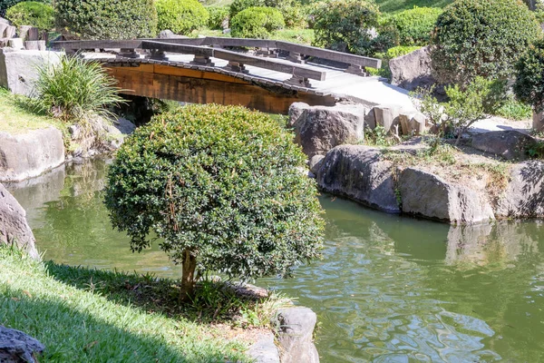 stock image Pond in a Japanese garden surrounded by green grass and leafy trees with a bridge in background, calm and sunny day in Bosque Colomos public park, Guadalajara, Jalisco Mexico