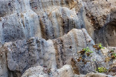 Cerro de la Calavera 'da kumlu kaya oluşumuna yakın çekim, düzensiz doku ve erozyonlara sahip kayalık bir kayanın yamacında duvar, La Paz, Baja California Sur Mexico' da güneşli bir gün.