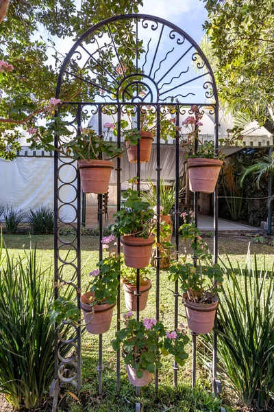 Decorative wrought iron fence with flower pots hanging over it, arch at the top, patio with lush trees with green foliage against blue sky, part of a terrace in background, sunny day in Mexico