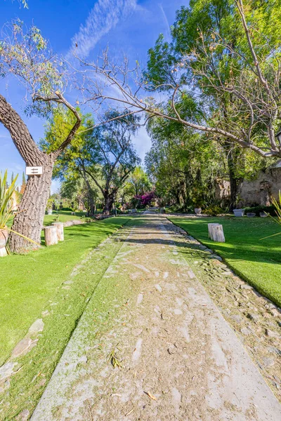 緑の芝生と裸の木と青い空 深い視点 メキシコの晴れた冬の日に対して緑の葉を持つ木の間で背景に失われる空のまっすぐ土の石の道 — ストック写真