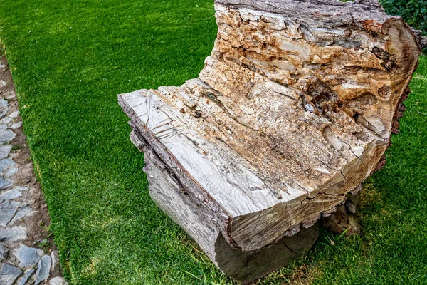 Ławka Wykonana Grubo Rzeźbionego Pnia Drzewa Zielonej Trawie Tle Umieszczona — Zdjęcie stockowe