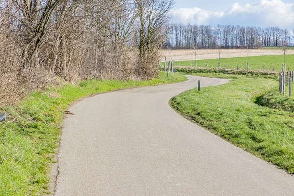 stock image Empty winding country road between Dutch farmland and agricultural green meadows against blue sky, bare trees in background, sunny winter day in South Limburg in The Netherlands