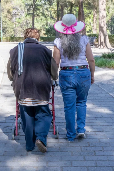 Rear view of accompanying carer next to an elderly woman walking with her walker in public park, daughter supporting her mother and enjoying in sunny day. Concept of health service for the elderly