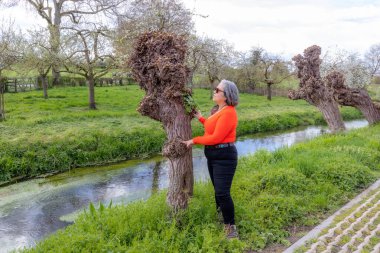 Pollard söğüt ağacının ve derenin yanında profilde görünen yaşlı kadın arka planda çıplak ağaçlar, gri saçlar, turuncu bluz, siyah pantolon, güneş gözlüğü, Hollanda 'da bahar günü bulutlu bir günde