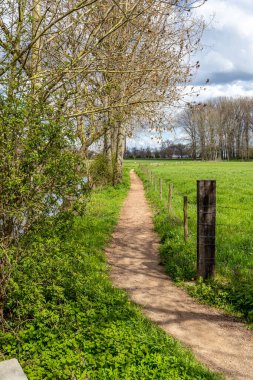 Beyaz bulutlarla kaplı arka planda ağaçlarla kaplı bir dere ve tarım arazisi boyunca dar yürüyüş yolları, yeşil çimenler, Hollanda 'da güneşli bir bahar günü.