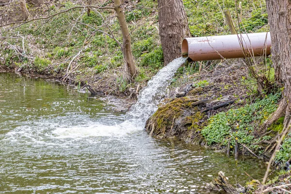 stock image Clean water flowing from a pipe into a pond surrounded by wild vegetation, system to control high levels of streams and prevent flooding, Strijthagerbeekdal nature reserve, Zuid Limburg, Netherlands