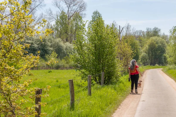 Camino Campo Con Mujer Madura Salchicha Marrón Caminando Por Lado — Foto de Stock