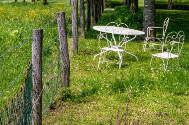 Hollanda 'da güneşli bir bahar günü, bir çiftlik evinin arka bahçesinde, tahta direkler ve dikenli tellerden oluşan bir çitin yanındaki yeşil çimenlerin üzerinde masa ve üç metal sandalye.