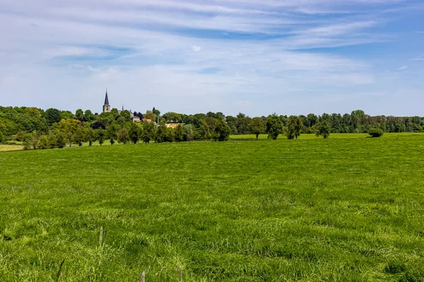 Planície Aberta Holandesa Com Grama Selvagem Árvores Frondosas Torre Sineira — Fotografia de Stock