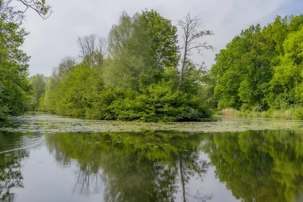 Vijver Omgeven Door Groene Lommerrijke Bomen Achtergrond Natuur Recreatiegebied Schwienswei — Stockfoto