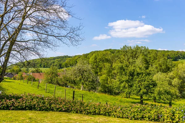 stock image Dutch meadows with abundant vegetation, green leafy trees covering the hill in the background against a blue sky, sunny spring day in Slenaken, South Limburg in the Netherlands