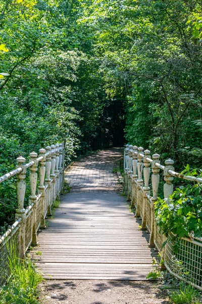 Trilha Caminhada Que Leva Uma Ponte Antiga Sobre Riacho Com — Fotografia de Stock