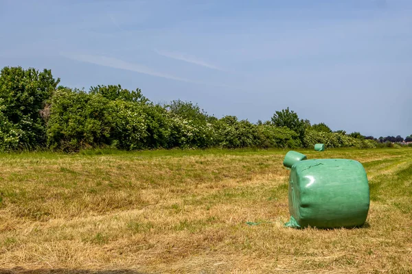 Fardos Heno Sobre Hierba Verde Amarillenta Campiña Holandesa Contra Cielo — Foto de Stock
