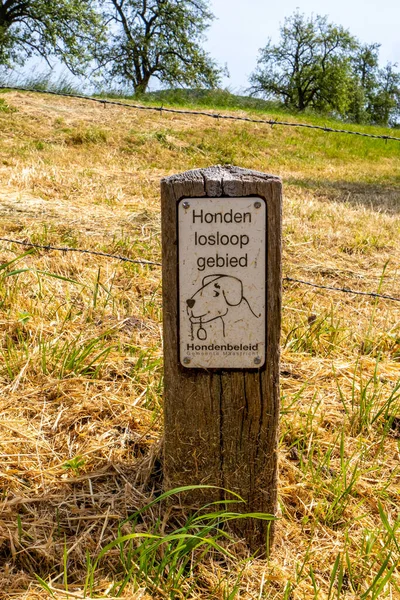 Wooden Sign Inscription Honden Loslopen Gebied Which Means Dogs Leash — Stock Photo, Image