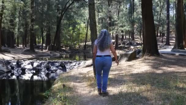 Trail Next Creek Woman Walking Tree Touring Place Admiring Nature — Stock Video
