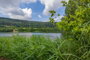 Echternach Gölü kıyısında yeşil yabani otlar, sisli arka planda bol yapraklı ağaçlara sahip tepeler, su yüzeyinde yansıma, Lüksemburg 'da bol bulutlu güneşli bahar günü