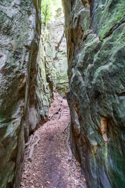 Teufelsschlucht Doğa Koruma Alanı 'nda iki kaya oluşumu arasındaki dar bir oyuk arasında yürüyüş, arka planda kitle, zamanın geçişi nedeniyle dar çatlaklar, Irrel, Almanya' da güneşli bir yaz günü