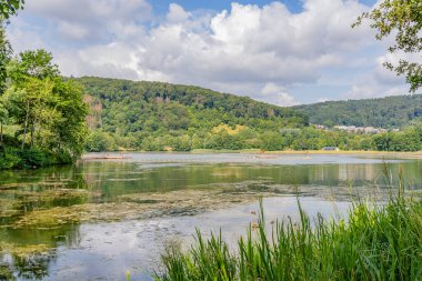 Su yüzeyinde yosunlu Echternach Gölü, dinlenme alanı ve arka planda yeşil yapraklı ağaçlı tepe, su yüzeyinde yansıma, panoramik manzara, Lüksemburg 'da güneşli bir yaz günü.