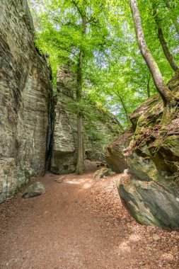 Teufelsschlucht doğa rezervi, devasa kaya oluşumları arasında yürüyüş yolu, arka planda yeşil ağaçlar, yosunlu duvarlar, düzensiz doku ve oyuklar, Ernzen, Almanya 'da güneşli bir yaz günü