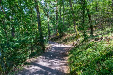 Yeşil yapraklı ağaçların arasında bir tepede yürüyüş yapmak, Stausee Bitburg Gölü 'nün etrafında dolaşmak, güneş ışığıyla aydınlatılmış arazi, ahşap bank, Almanya' da güneşli bir yaz gününde arka planda kaybolmak.