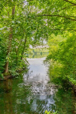 Echternach Gölü 'ne akan bir dereyi çevreleyen ağaçların bol yeşil yaprakları, arka planda bulanık yapraklar, su yüzeyinde yansıma, Lüksemburg' da güneşli bir bahar günü.