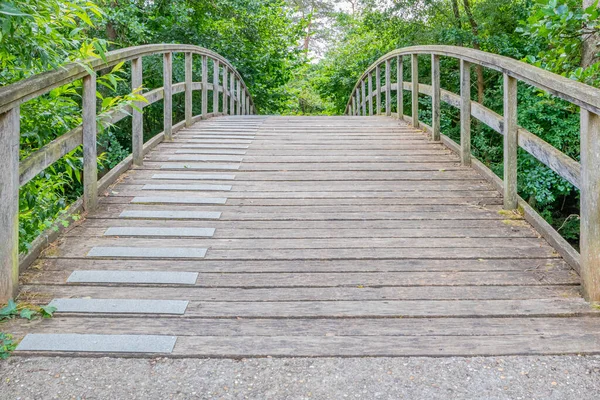 Gewölbte Plattform Aus Holzplanken Und Einer Bogenbrücke Niedriger Blickwinkel Üppiges — Stockfoto