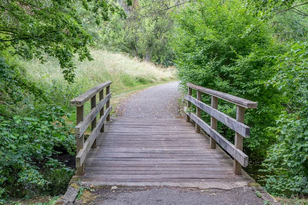 Doğaya Giden Yaya Yolu Olan Küçük Bir Köprü Ahşap Platform — Stok fotoğraf