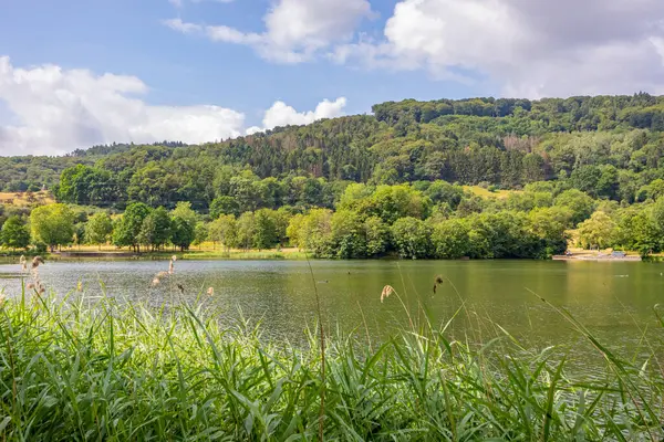 Echternacher See Hügel Mit Üppigen Laubbäumen Nebligen Hintergrund Wildes Gras — Stockfoto