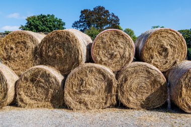 Tarımsal bir çiftliğin bahçesinde yuvarlanmış bir saman balyasının, arka planda yeşil ağaçların ve mavi gökyüzünün, Kanne, Riemst, Belçika 'da güneşli bir yaz gününün yakın çekimi.