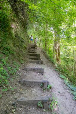 Thier de Lanaye doğa koruma alanındaki yapraklı ağaçların arasında dik bir yamaçta ekolojik merdivenler, arka planda duran kadın yürüyüşçü, Belçika 'nın Sint-Pietersberg bölgesi, Vise, Belçika' da güneşli bir gün.