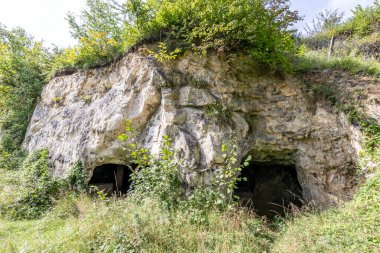 Mağara girişli kaya oluşumları, yemyeşil bitki örtüsü, düzensiz doku ve çatlaklarla çevrili, Belçika 'nın Sint-Pietersberg bölgesinde Thier de Lanaye doğa rezervi, Belçika' nın Vise şehrinde güneşli bir gün.