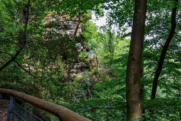 stock image Abundant foliage of green leafy trees with a rocky hillside in background in Teufelsschlucht nature reserve, hiking trail between rock formations, sunny summer day in Irrel, Germany