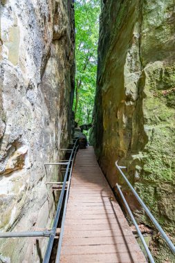 Dar kayalık kanallar veya aşınmış kaya oluşumları, arka planda yeşil ağaçlar, Teufelsschlucht doğa koruma alanında güneşli bir gün, Irrel, Almanya