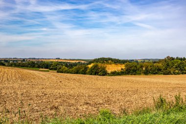 Hasat sonrası Belçika 'nın panoramik manzarası, tarlalar ve yeşil ağaçlar arka planda sisli mavi gökyüzüne karşı, güneşli bir yaz günü Vise, Belçika' da
