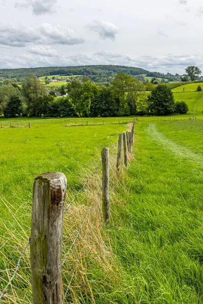 Hollanda 'da tarımsal arazileri, otlakları, ağaçları, tepeleri, arka planda bulutlarla kaplı gökyüzüne karşı köyleri bölen tahta direkler ve tel örgüler, Epen, Güney Limburg, Hollanda' da güneşli bir gün