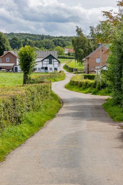 Tarımsal tarlalar, çalılar ve araziler arasındaki Hollanda kırsal yollarının manzarası, dar ve dolambaçlı, arka planda yapraklı ağaçlarla kaplı tepe, bulutlu gökyüzü, Epen, Güney Limburg, Hollanda 'da güneşli bir gün