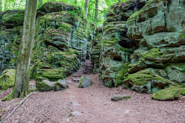 Teufelsschlucht Doğa Koruma Alanı 'nda iki devasa yosunlu kaya oluşumu, arka planda yeşil yapraklı ağaçlar, Almanya' nın Irrel kentinde güneşli bir yaz günü arasında dar bir yol.