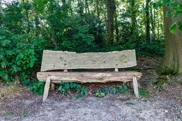 Rustic wooden bench made of fallen tree trunks in region, Stammenderbos nature reserve, dirt trail, wild vegetation and leafy trees in background, sunny day in Sweikhuizen, South Limburg, Netherlands