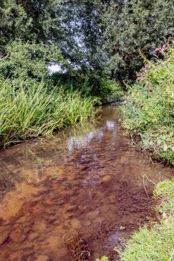 Geul Nehri 'nin sığ, şeffaf suları, tortulu zemin, arka planda yabani bitki örtüsü ve yapraklı ağaçlar, Terpoor, Epen, South Limburg, Hollanda' da güneşli bir gün.