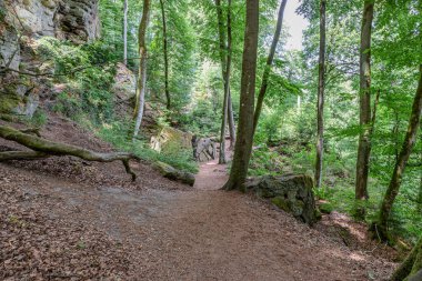 Teufelsschlucht Doğa Koruma Alanı 'nda güneşli bir gün, Irrel, Almanya