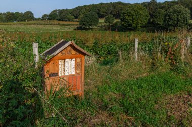 Çiftlik arazisi, tel örgü çitleri, tarım arazisi, arka planda ekili tarla ve yapraklı ağaçlar, Güney Limburg, Sweikhuizen 'de güneşli bir gün,
