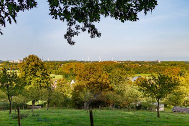 Ağaçlarla dolu sonbahar manzarası sarımsı yeşil yapraklar, mavi gökyüzüne karşı sanayi kompleksi, Sweikhuizen, Güney Limburg, Hollanda 'da güneşli bir gün.