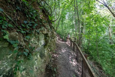 Kayalık yamaçlar ve ahşap çitler arasında yürüyüş yolu, Sint-Pietersberg 'in Belçika bölgesinde bol miktarda yabani bitki örtüsü ve ağaçlar, arka planda kadın yürüyüşçü, Vise, Belçika' da güneşli bir yaz günü.