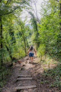 Kıdemli bayan yürüyüşçünün, köpeğiyle birlikte dik yamaçtan aşağı inişini Sint-Pietersberg 'in Belçika bölgesindeki Thier de Lanaye doğa koruma alanında arka planda vahşi bitki örtüsü, Vise, Belçika' da güneşli bir gün.