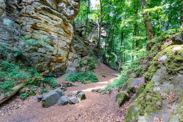 Wooded rocky landscape with hill with hiking trail between rocky slopes or walls of eroded rock formations, path getting lost in background, sunny day in Teufelsschlucht nature reserve, Irrel, Germany