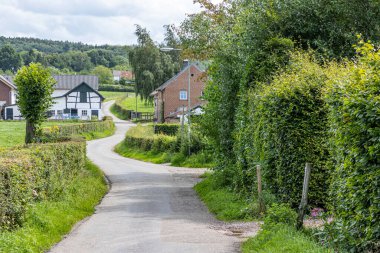 Tarımsal tarlalar, çalılar ve araziler arasındaki dar ve dolambaçlı kırsal yol, arka planda yapraklı ağaçlarla kaplı tepe, beyaz bulutlarla kaplı gökyüzü, Epen, Güney Limburg, Hollanda 'da güneşli bir gün.
