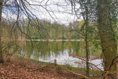 Su yüzeyinde ayna yansıması olan göl manzarası çıplak dallar, arka plandaki ağaçlar, Hollanda rezervi Strijthagerbeekdal 'da bulutlu bir gün, Güney Limburg, Hollanda