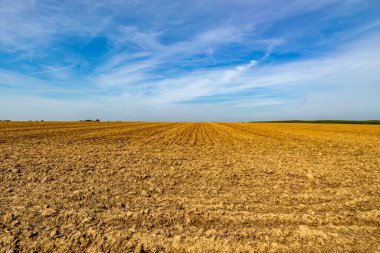 Puslu mavi gökyüzüne karşı hasat sonrası panoramik bir tarla manzarası, arka planda ufuk, Belçika tarım arazisi manzarası, Vise, Belçika 'da güneşli bir yaz günü