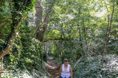 Yaşlı yürüyüşçü, yeşil ağaçlarla yeşil bitki örtüsü arasında dik bir yamaçta yürüyor. Belçika 'nın Sint-Pietersberg bölgesindeki Thier de Lanaye doğa koruma alanı. Vise, Belçika' da güneşli bir gün.